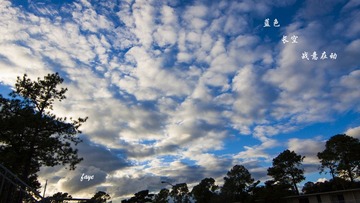 _MG_0236-2副本.jpg