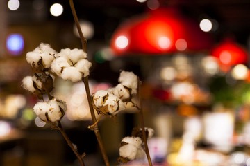 _MG_2283.jpg