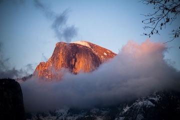 _MG_1394.jpg