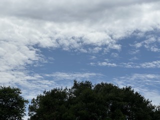C3450F59-E4D4-4C14-B753-4614764B5E47/L0/001
