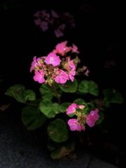 59EECCAD-0E35-4A5E-BD38-C94C682CB0C5/L0/001