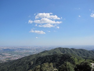 Picture 062