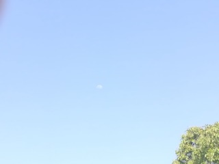 1341533