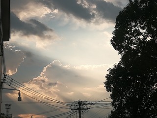 280230