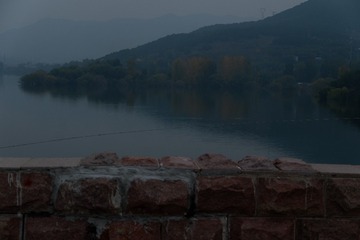1000009232