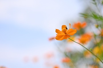 8465