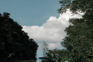 32CE5857-CE43-4B4C-B4A4-99F058595198/L0/001