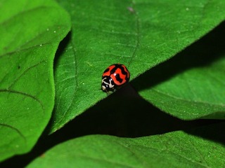 DSC_1977.jpg