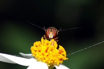 DSC_2746.jpg