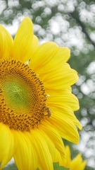 C4811B62-5995-462F-B550-B441D7015774/L0/001