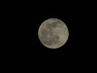 991B9592-1F9D-4850-ACB0-3612CFF85D3C/L0/001