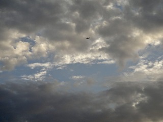 AA8CFA14-45F2-4123-8A30-31EF1058D338/L0/001