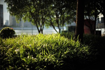 AB81B191-34E4-451E-932C-238D40407818/L0/001