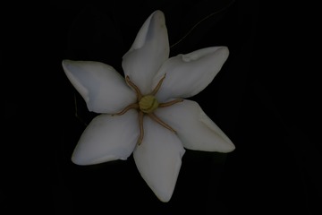 AE533252-1802-4B15-BD7A-72261516C099/L0/001