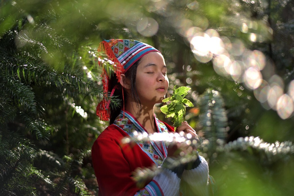 瑶族少女在山里闻香草,美吧?