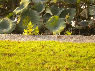 DSCN1026.JPG