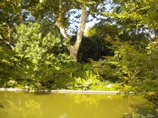 DSCN1009.JPG