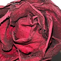 A0E60364-1B34-49AC-84BF-A9B277898C9E/L0/001