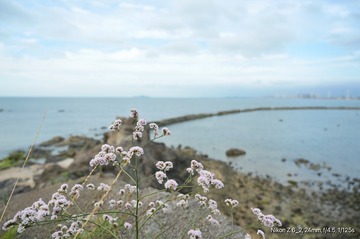 CF708391-62F1-471A-8F46-EF46ABAA0D60/L0/001