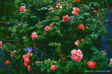 C794F437-AB65-45DF-B611-FB5160CAA10A/L0/001