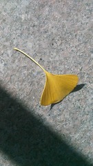 130796