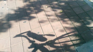 130804