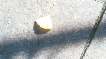 130797