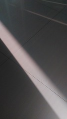 205731