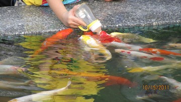 IMG_4969.JPG