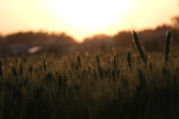 4B9A315F-D9A4-4E84-9730-87A64A0E63FF/L0/001