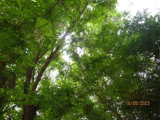 2FAA15C3-051C-4CB0-B005-E27FF429ECA3/L0/001