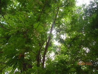 E878F560-5279-4C66-97A0-9249C6D19A15/L0/001