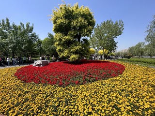 B99481BE-BB7C-46BD-9D3E-618BD93149A2/L0/001