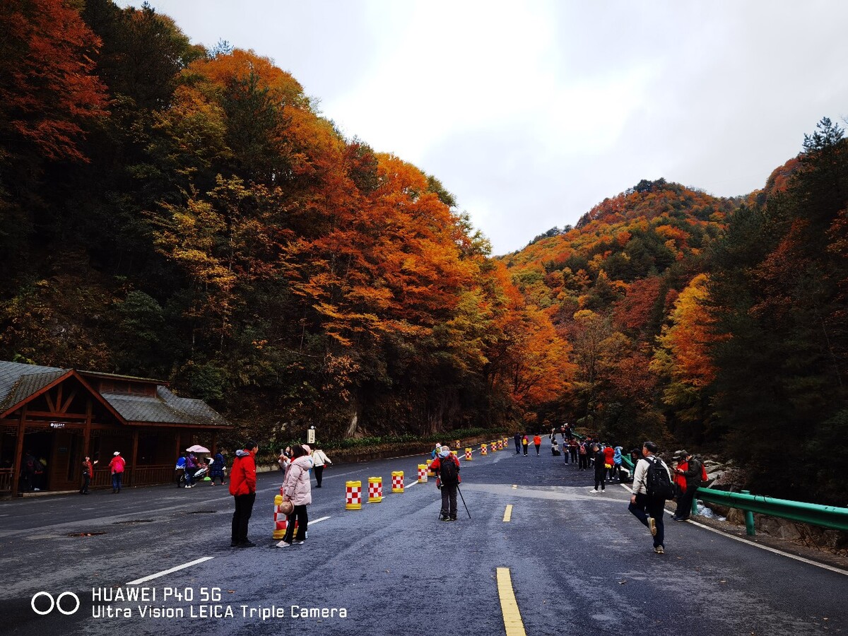 国内那些地方可以看红叶