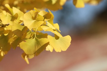 1311403