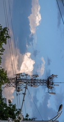 1000034339