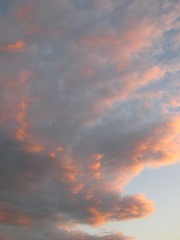BCCCCB66-8183-4B51-BA74-423E024BEFFD/L0/001