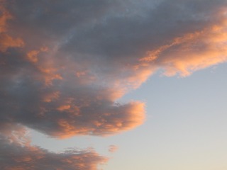 AA648E9B-6300-4556-A9D4-0D074A9EC4DB/L0/001