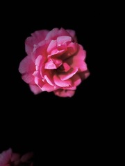 9F8D0E60-E2B1-42FA-B2E1-C24F5A530672/L0/001