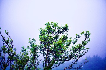 730F2F24-5EEC-44EE-99FC-8B8F273723FF/L0/001