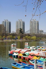 20110325-DSC_0036
