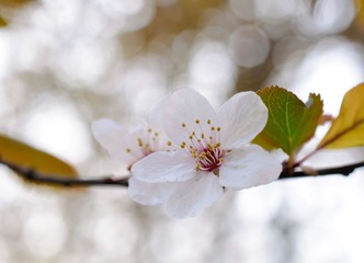 20110403-DSC_0001