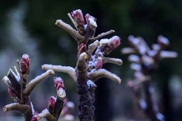 20110413-DSC_0065