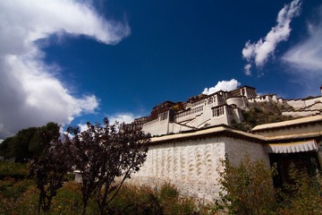IMG_4127.jpg