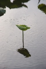 132359