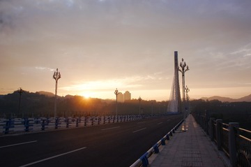 16065