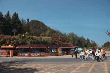 74636