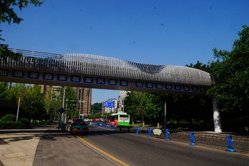 11931