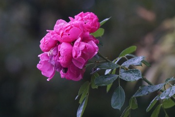 881