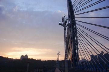 16082